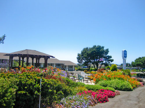 Surf Motel And Gardens Форт Браг Екстериор снимка